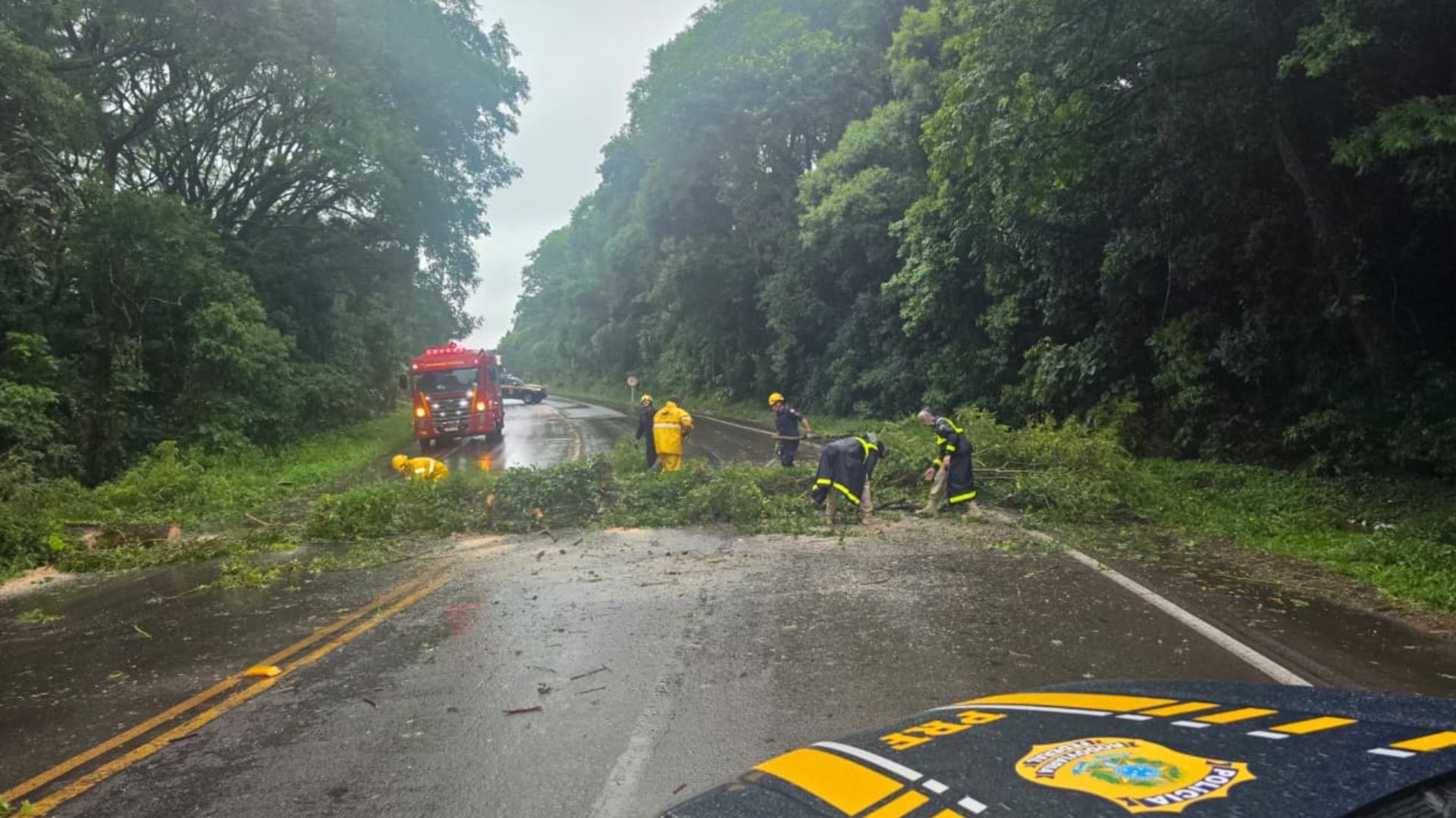 Passagem de ciclone extratropical deixa estragos em 18 municípios no RS, segundo Defesa Civil; veja FOTOS e VÍDEOS