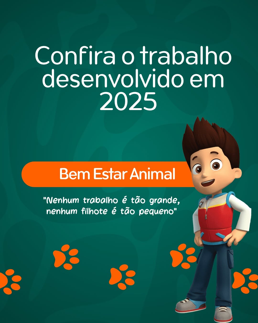 Imagem: Cuidar dos Animais é Construir Juntos A Causa animal é definida pela proposta como um conjunto de ações, de cuidado.